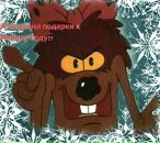 Фотография Нифонтовой Светланы