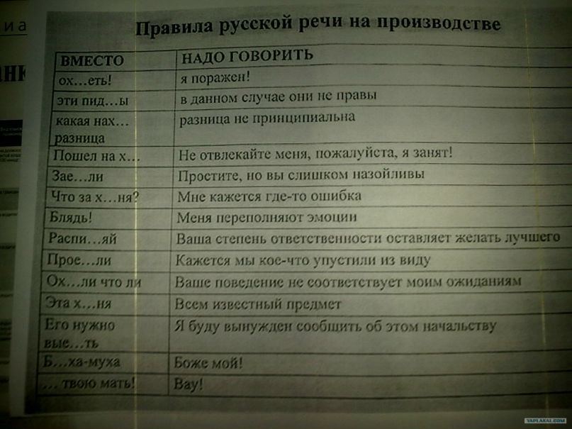 Тимур Тимофеев фотография #32