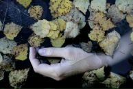 Фотография Доценко Светы