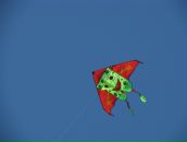 Фотография Солошенко Яны