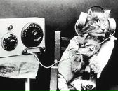 Фотография Рачковой Анастасии