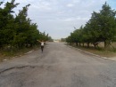 Світлана Ящук фотография #8 (источник - https://vk.com/id87225549)