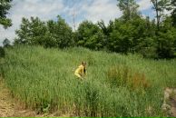 Натуся Ніколаєва фотография #5 (источник - https://vk.com/id67262908)