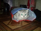 Фотография Белецкой Анастасии