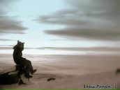 Фотография Салтыкова Александра