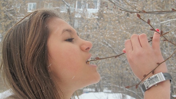 №1, Катечко №1, Катечко