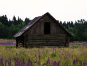 Фотография Масленникова Андрея