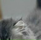 Емілія Мовчан фотография #25 (источник - https://vk.com/id89589512)