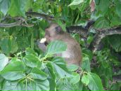 Фотография Ширяева Владимира