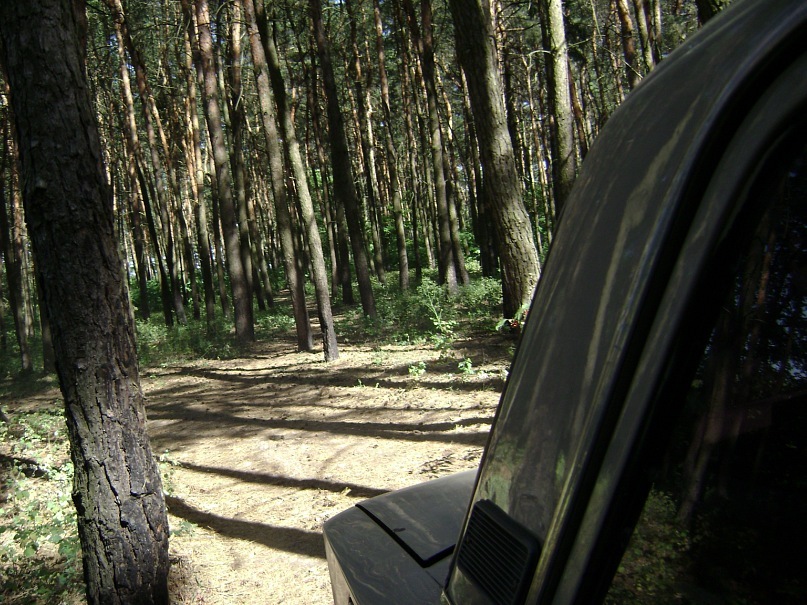 Алексей Мойсенко фотография #37