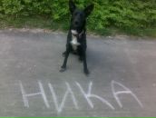 Фотография Гурьевой Екатерины