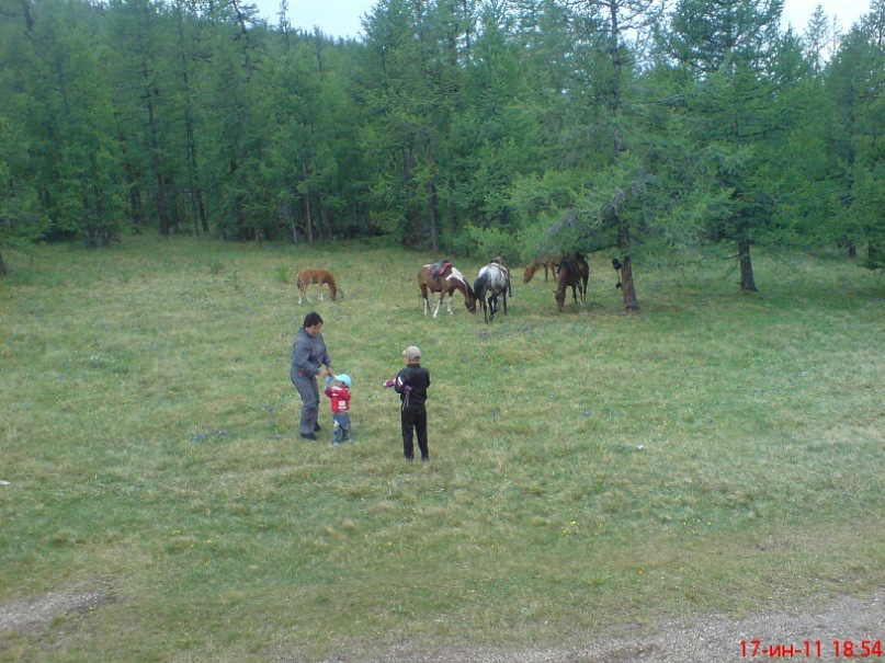 Яна Иргит фотография #42