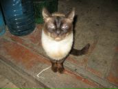 Андрій Дацюк фотография #47 (источник - https://vk.com/id27747637)