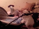 Андрій Гнатюк фотография #44 (источник - https://vk.com/id68134624)