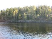 Павел Красавин фотография #43 (источник - https://vk.com/id222579)