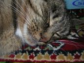 Фотография Павлова Владимира