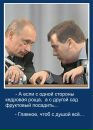 Фотография Токарева Андрея