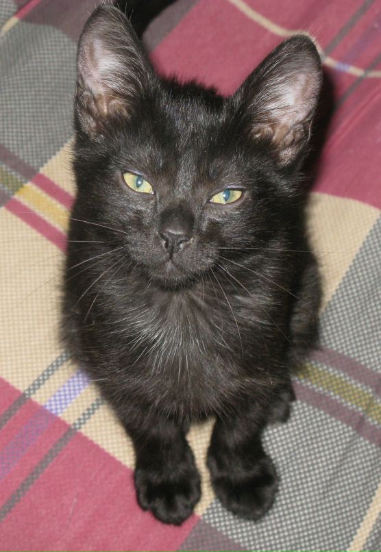 Багратион Боджгуа фотография #17