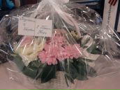 Фотография Никитин Артем