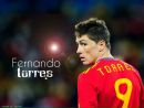 Fernando Torres фотография #15 (источник - https://vk.com/id136515430)