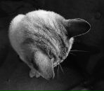 Фотография Горячей Юлии