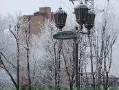 Фотография Беганской Анны