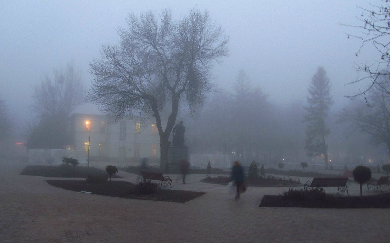 Евгений Савин фотография #41