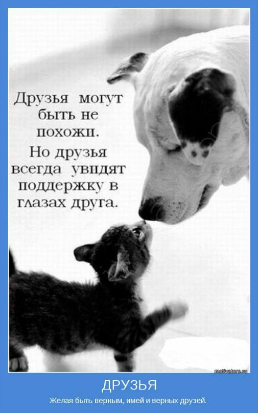 Антон Юст фотография #39
