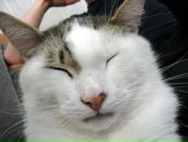 Фотография Усачевой Ирины