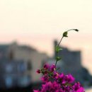 Κристина Μиронова фотография #38 (источник - https://vk.com/id154017682)