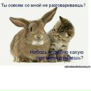 Наталія Олійник(грицина) фотография #5 (источник - https://vk.com/id140490448)