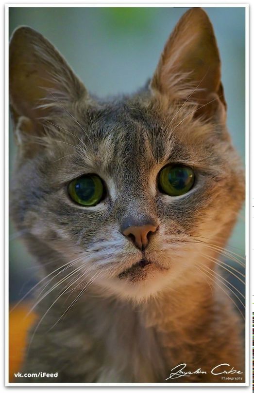 Дмитрий Панченко фотография #23