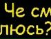 Миша Чердаков фотография #2 (источник - https://vk.com/id37705669)