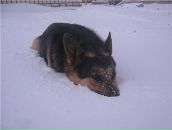 Фотография Макуриной Ольги