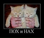 Фотография Лисковец Алёны