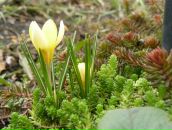 Фотография Моисеевой Натальи