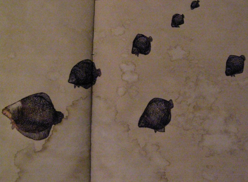 Вика Вика фотография #30