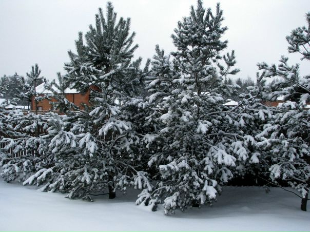 Станислав Орлов фото №24