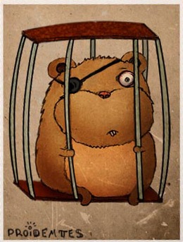 №14, Сергей Шмаков, 37 лет, Санкт-Петербург №14, Сергей Шмаков, 37 лет, Санкт-Петербург