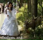 Таня Борівська фотография #2 (источник - https://vk.com/id133092012)