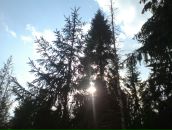 Сергій Слав'янський фотография #19 (источник - https://vk.com/id39792263)