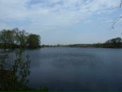 Юлія Василенко фотография #20 (источник - https://vk.com/id78194802)