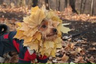 Фотография Калыгиной Алины