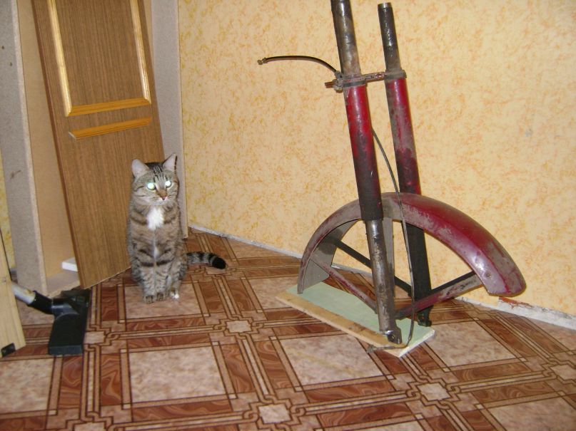 Дмитрий Петров фотография #20