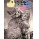 Андріана Кукицяк фотография #25 (источник - https://vk.com/id156969721)