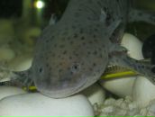 Фотография Герасимовой Даши