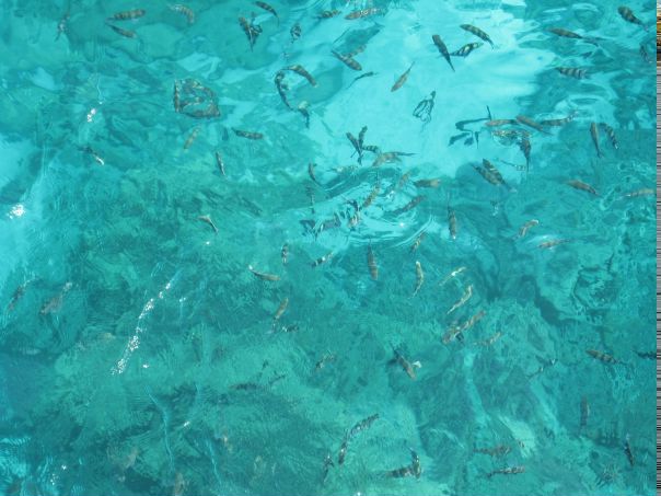 Антон Орлов фото №18