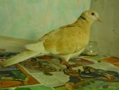 Фотография Эна Михаила