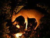 Анна Цымбал фотография #10 (источник - https://vk.com/id2266870)