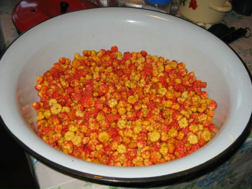 Всеволод Виговский фотография #18